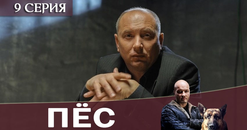 Пес (сериал) (2019) 6 сезон 9 серия смотреть онлайн бесплатно