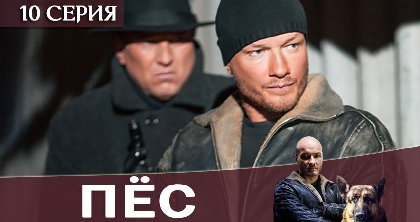 Пес (сериал) (2019) 6 сезон 10 серия смотреть онлайн в хорошем качестве