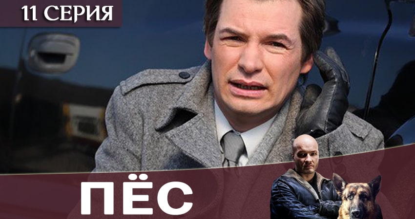 Пес (сериал) 6 сезон 11 серия все серии подряд онлайн бесплатно