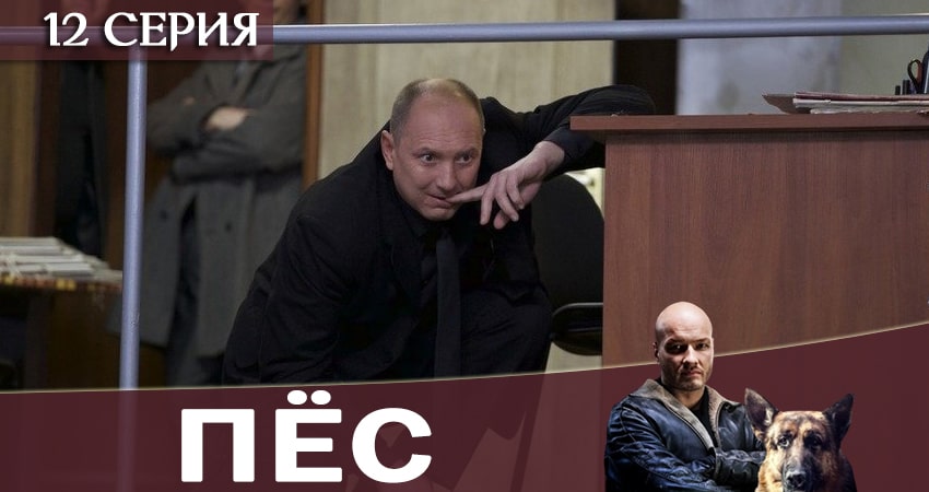 Смотреть сериал Пес (сериал) 6 сезон 12 серия в отличном качестве