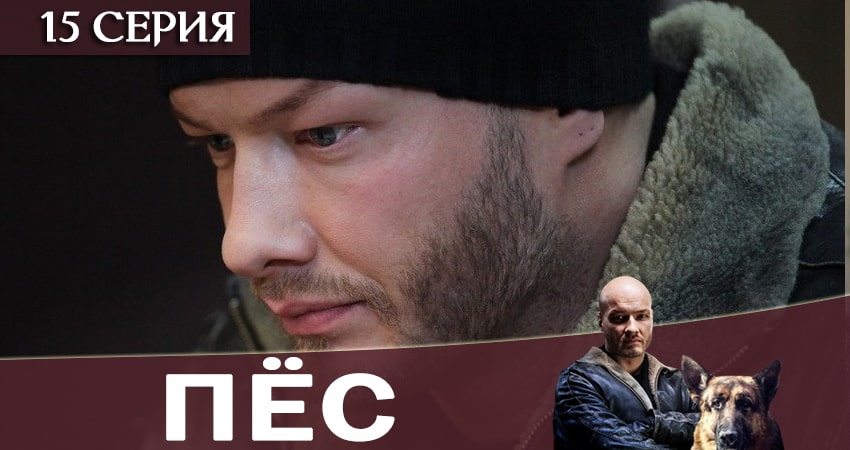 Пес (сериал) 6 сезон 15 серия смотреть в хорошем качестве
