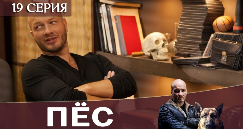 Смотреть сериал Пес (сериал) (2019) 6 сезон 19 серия в хорошем качестве онлайн