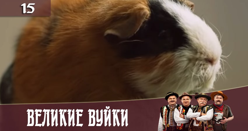 Cмотреть сериал Великие вуйки (Великi вуйки) 2 сезон 15 серия онлайн бесплатно