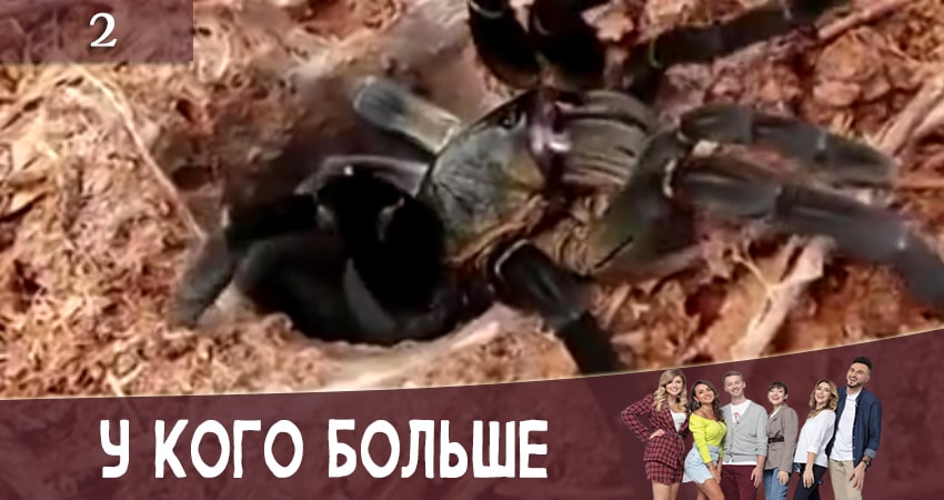 Смотреть У кого больше (У кого бiльше) 1 сезон 2 серия онлайн бесплатно без смс