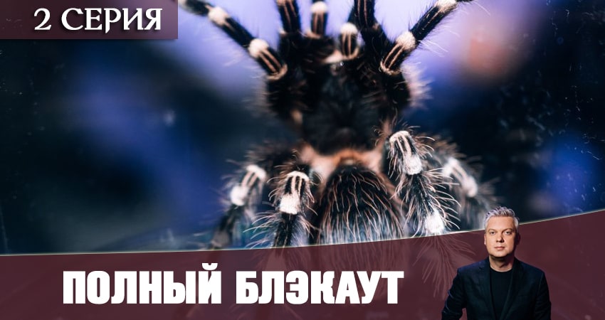 Полный блэкаут (2021) 1 сезон 2 серия полностью в хорошем качестве и бесплатно