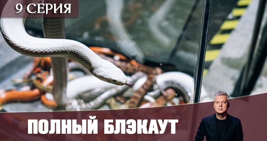Полный блэкаут (1 сезон, 1-10,11,12 серия) WEBRiP
