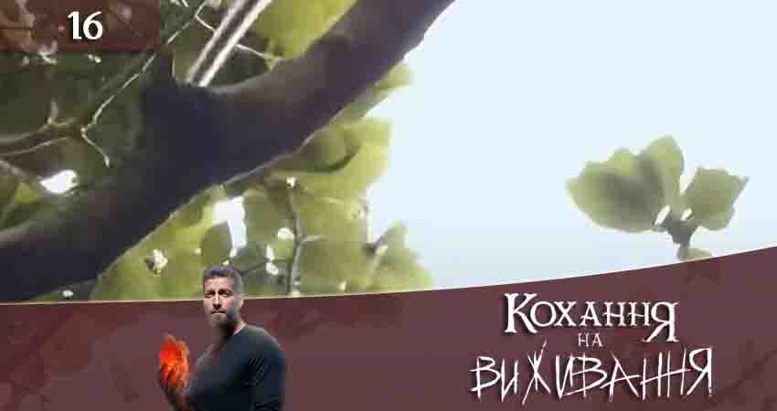 Любовь на выживание (Кохання на виживання) (2020) 4 сезон 16 серия полностью смотреть бесплатно без рекламы