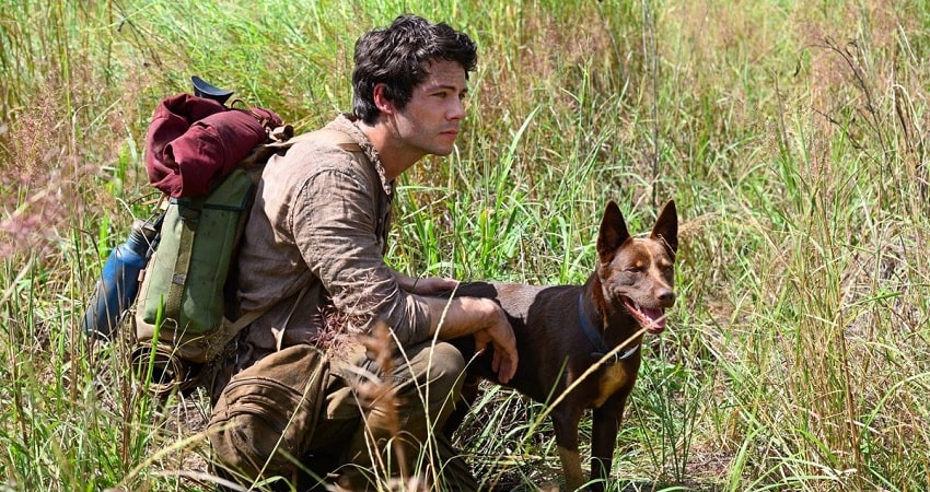 Фильм Любовь и монстры (Love and Monsters) 2020 (Канада) 2020 онлайн в качестве 1080p