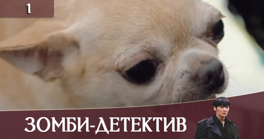 Сериал Зомби-детектив (Zombie Detective) (1 сезон) онлайн бесплатно