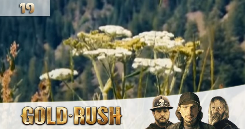 Золотая лихорадка (Gold Rush) (2020) 12 сезон 19 серия смотреть онлайн бесплатно