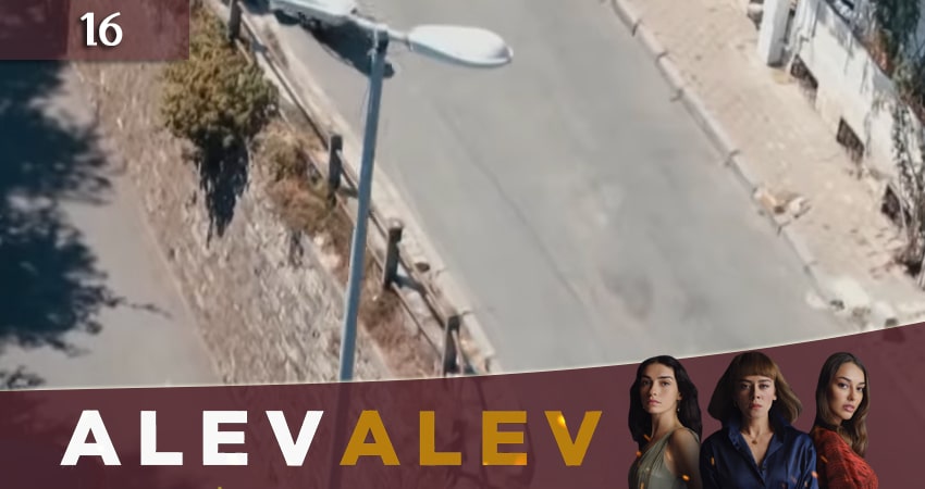 Яркое пламя 2020 (Алев Алев / Alev Alev) 1 сезон 16 серия смотреть бесплатно в хорошем качестве