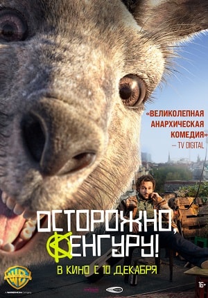 Осторожно, Кенгуру! / Хроники кенгуру (2021) смотреть в качестве Full HD бесплатно