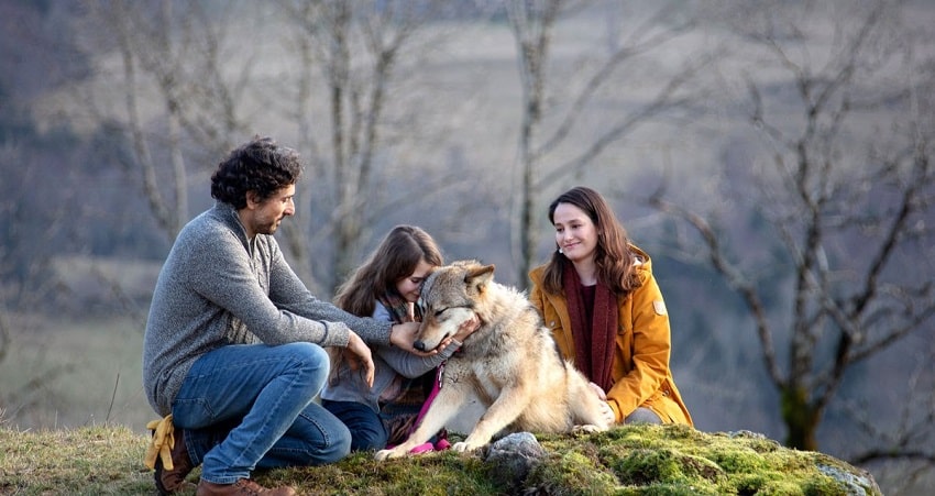 Фильм Мой волк / Тайна (2021) смотреть бесплатно в хорошем качестве