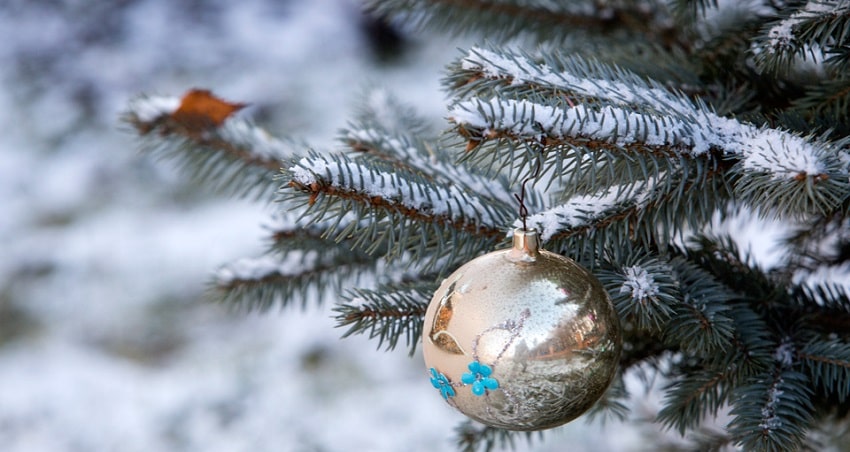 Фильм Самый Новый год! 2021 смотреть онлайн в качество 1080 HD или 4K