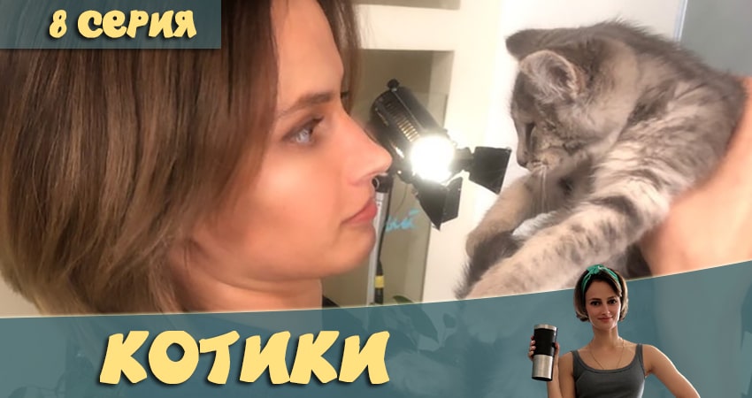 Котики (2 сезон) сериал смотреть без регистрации