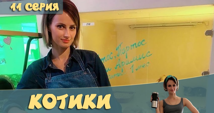 Смотреть Котики 1 сезон 11 серия онлайн бесплатно без смс