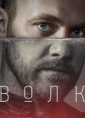 Сериал Волк (ТНТ) (2020) 1 сезон онлайн в превосходном качестве 1080 или 4K