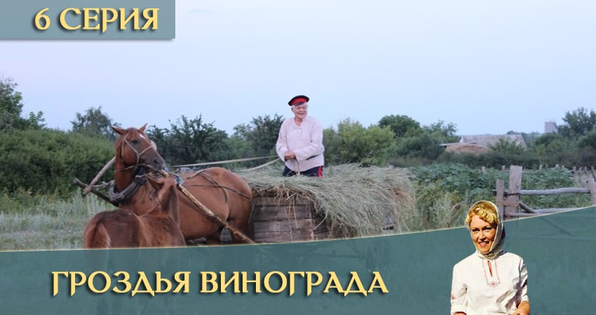 Гроздья винограда (1-24,25,26 серия) сериал смотреть лорд