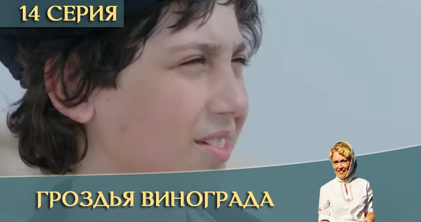 Сериал Гроздья винограда 1 сезон 14 серия смотреть онлайн бесплатно в хорошем качестве