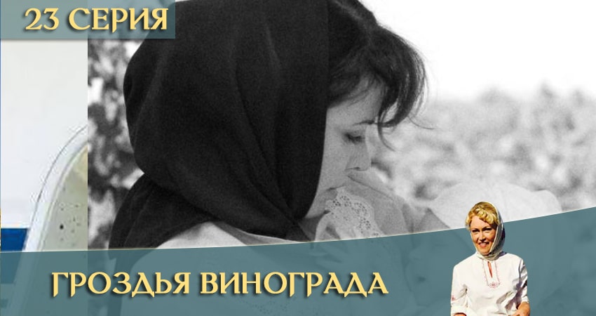 Гроздья винограда (2020) 1 сезон 23 серия смотреть онлайн бесплатно