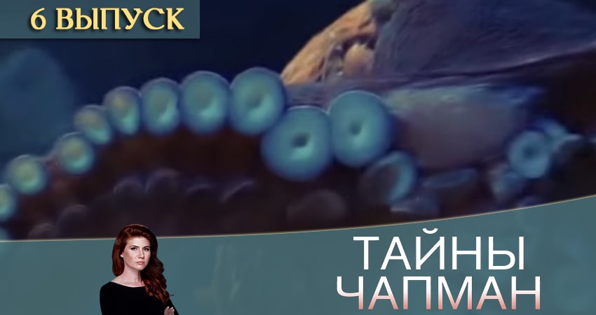 Тайны Чапман 2020 (2020) 1 сезон 6 серия смотреть бесплатно полностью