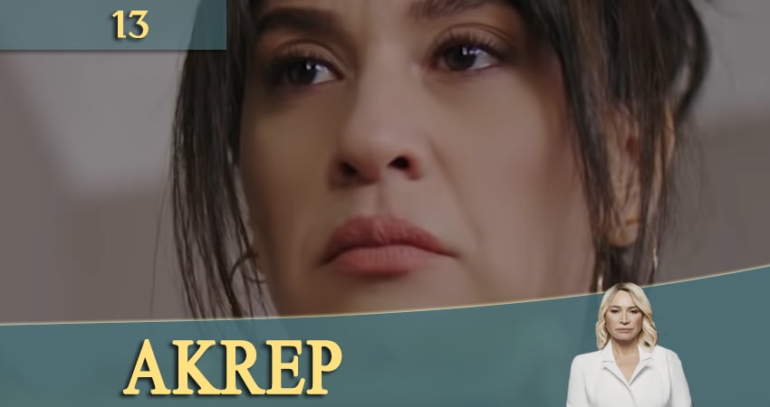 Смотреть сериал Скорпион (Akrep) (2020) 1 сезон 13 серия без рекламы в HD