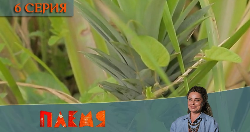 Смотреть сериал Реалити-шоу Племя (Телеканал пятница) 1 сезон 6 серия в хорошем качестве HD