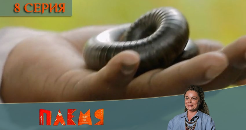 Реалити-шоу Племя (Телеканал пятница) 1 сезон 8 серия смотреть в хорошем качестве