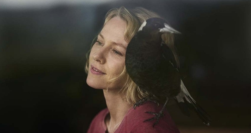 Пингвин Блум (США) 2021 смотреть онлайн в хорошем качестве