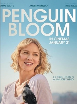 Фильм Пингвин Блум (2021) смотреть бесплатно в супер качестве 4K