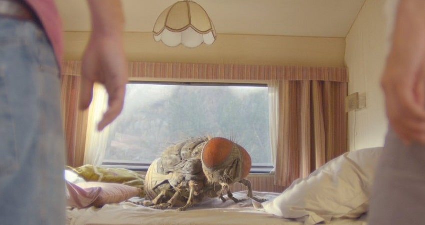 Смотреть Фильм Жвалы (Франция) в отличном качестве