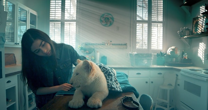 Лена и белый тигр (США) 2021 смотреть полностью без перерыва