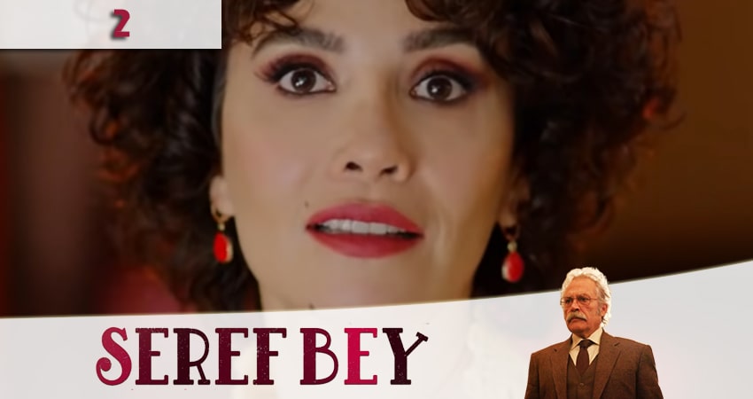 Уважаемый господин (Seref Bey) (2020) 1 сезон 2 серия полностью в хорошем качестве и бесплатно