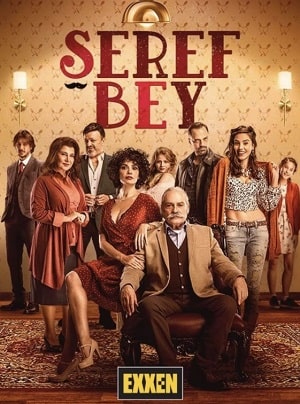 Уважаемый господин (Seref Bey) 1 сезон (2020, Турция) смотреть сериал онлайн