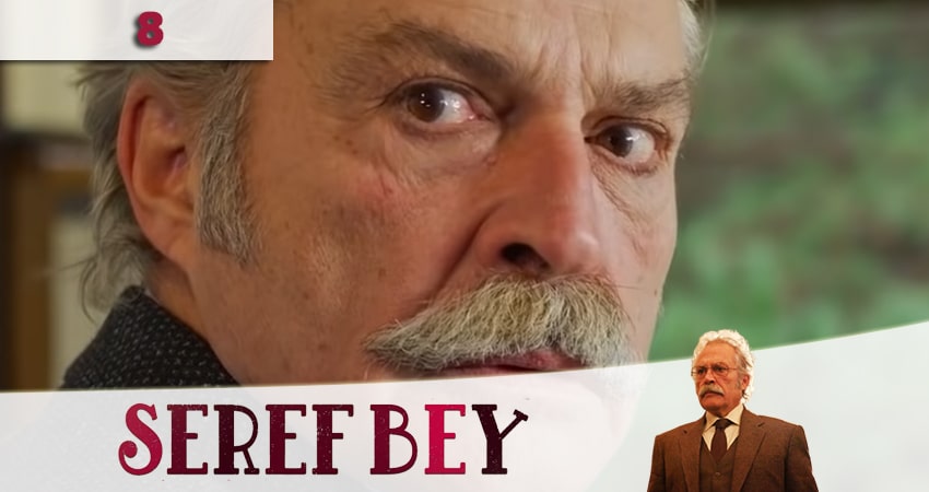 Cмотреть сериал Уважаемый господин (Seref Bey) 1 сезон 8 серия онлайн бесплатно