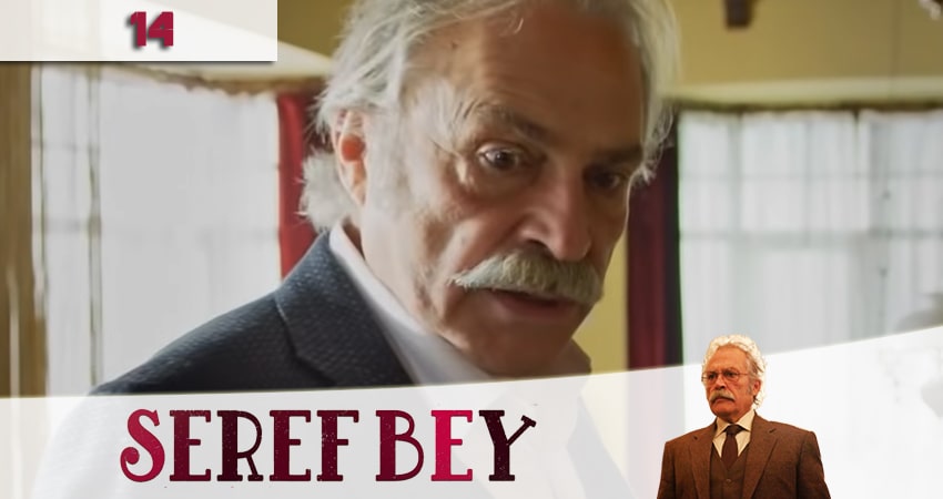 Уважаемый господин (Seref Bey) 1 сезон 14 серия смотреть в хорошем качестве