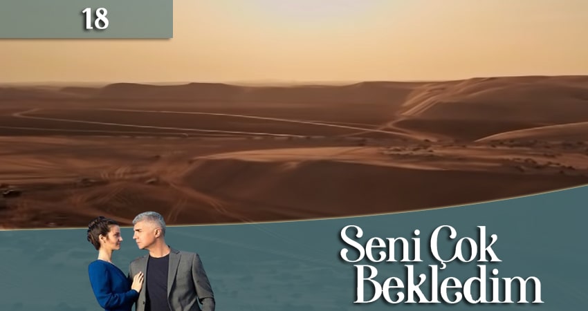 Я так долго тебя ждал (Seni Cok Bekledim) 1 сезон 18 серия смотреть онлайн в качестве 4K