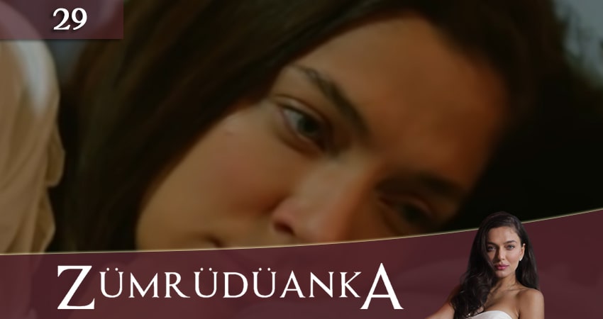 Птица Феникс / Изумрудный Феникс (Zumrudu Anka / Zümrüdüanka) 1 сезон 29 серия все серии подряд онлайн бесплатно