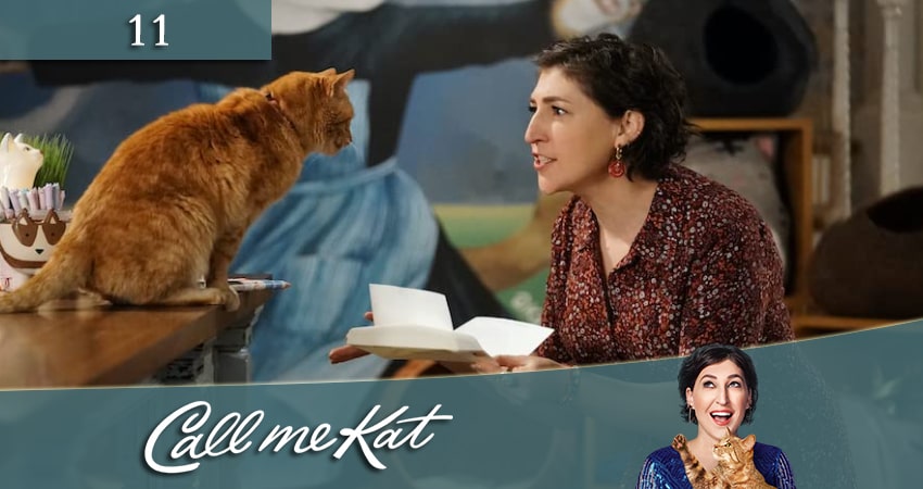 Смотреть сериал Зовите меня Кэт (Call Me Kat) (2021) 1 сезон 11 серия без рекламы в HD
