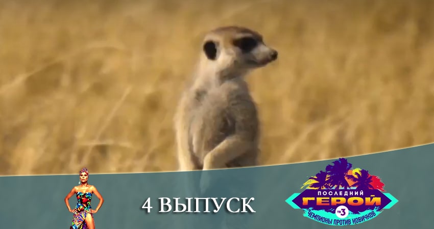 Последний герой. Чемпионы против новичков (3-й сезон) сериал содержание
