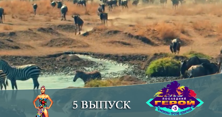 Последний герой. Чемпионы против новичков (2021) 3 сезон 5 серия смотреть онлайн бесплатно