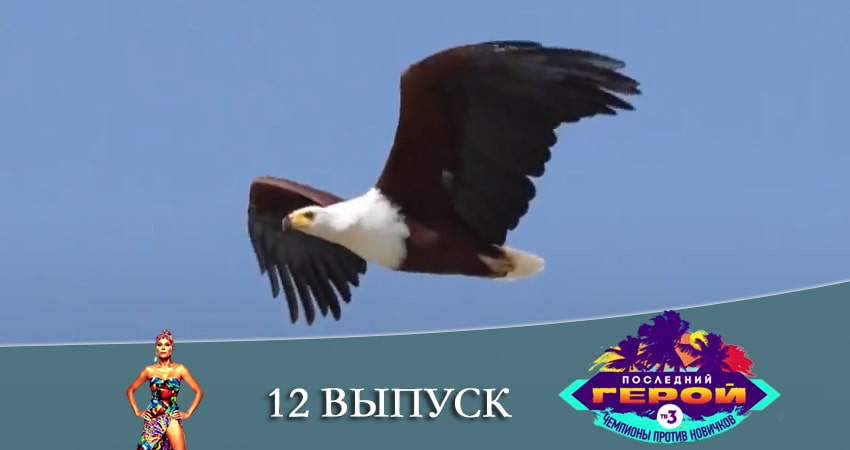 Последний герой. Чемпионы против новичков 3 сезон 12 серия смотреть в хорошем качестве