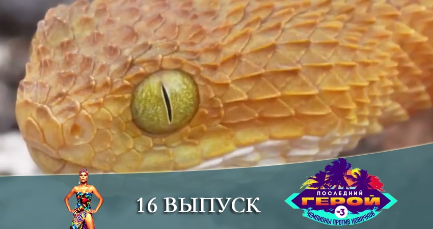 Последний герой. Чемпионы против новичков 3 сезон 16 серия смотреть полностью без перерыва