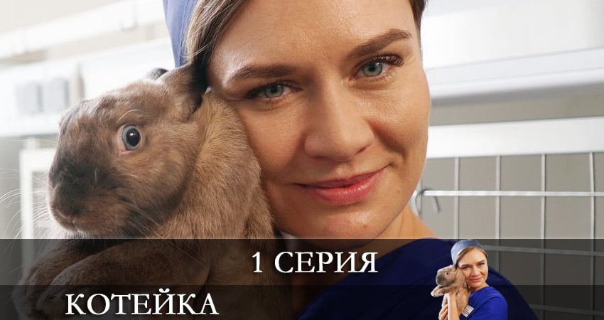 Котейка 1 сезон 1 серия смотреть онлайн на телефоне бесплатно