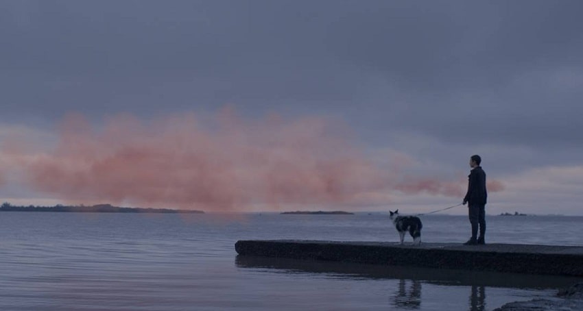 Розовое облако (США) смотреть в хорошем качестве