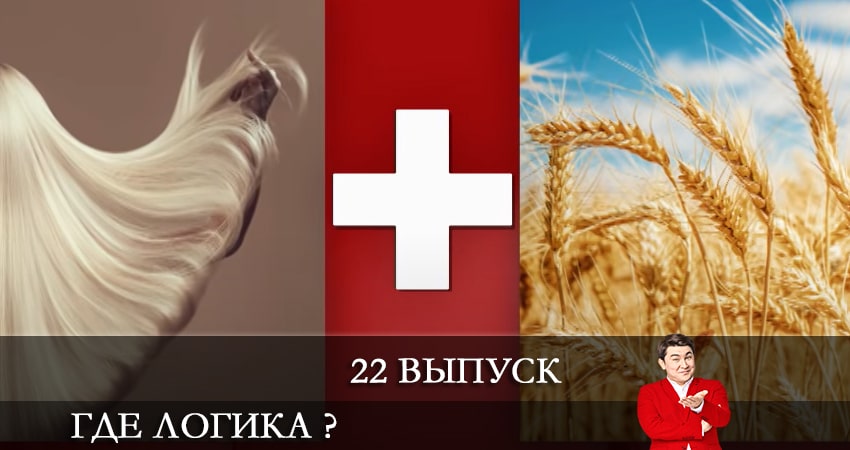 Смотреть сериал Где логика ? 7 сезон 22 серия бесплатно и без рекламы