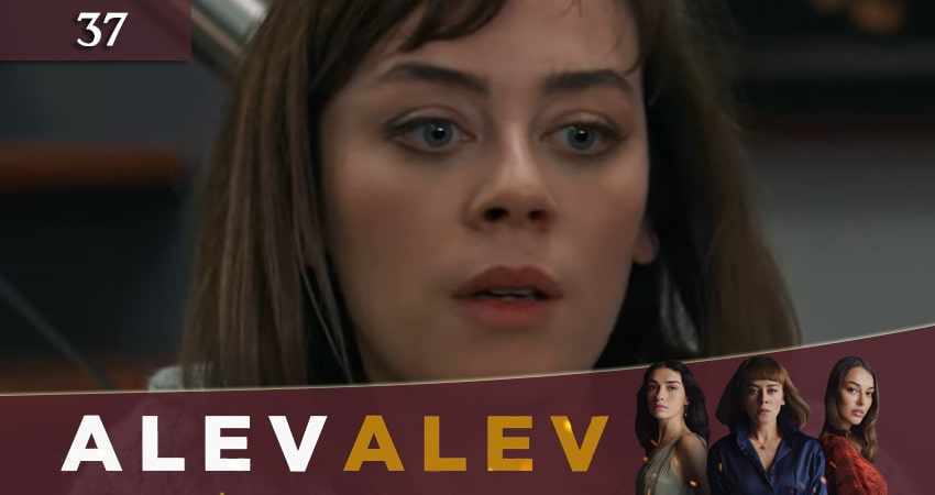 Яркое пламя 2020 (Алев Алев Alev Alev) 1 сезон 37 серия смотреть в хорошем качестве