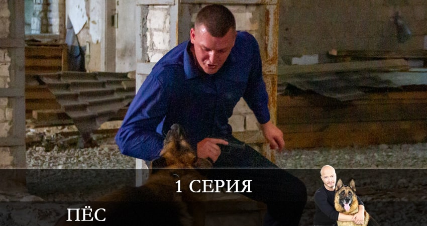 Пес (сериал) (8 сезон) музыка к фильму