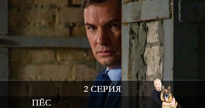 Саундтреки из сериала Пес (сериал) (8 сезон)