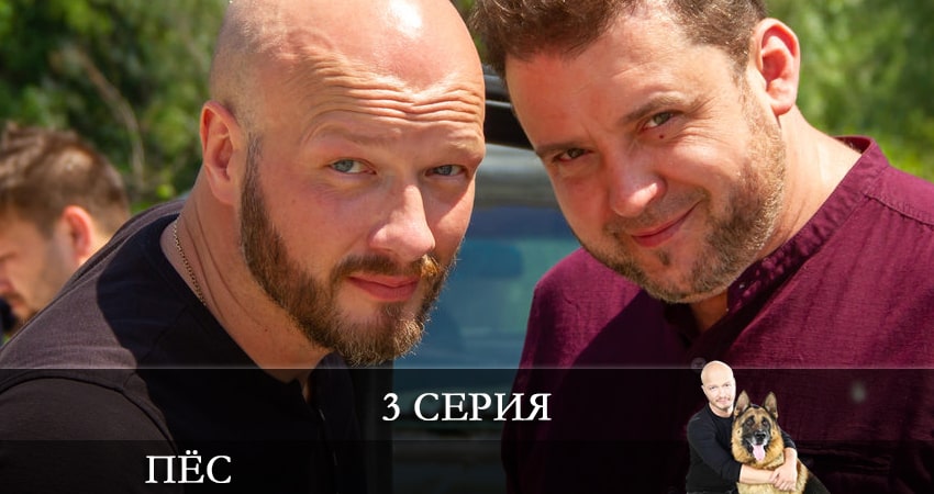 Пес (сериал) 7 сезон 3 серия полная версия смотреть бесплатно